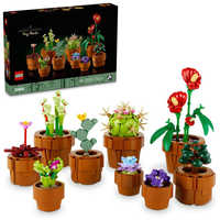 レゴジャパン LEGO（レゴ） 10329 ボタニカルコレクション アイコン