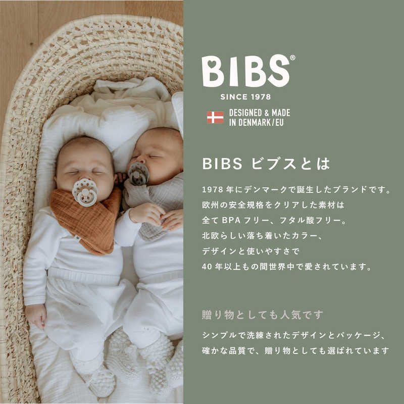 CLOVISBABY CLOVISBABY 天然ゴムおしゃぶり BOHEME(ボヘミ) サイズ2 1PK Cloud  