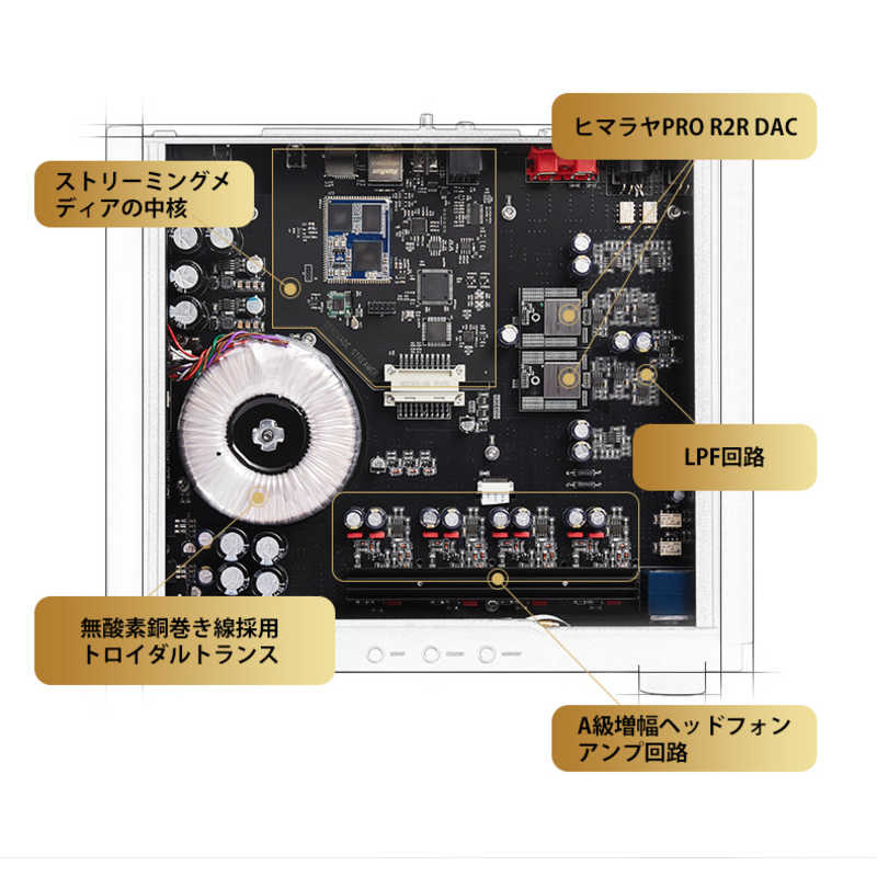 HIFIMAN HIFIMAN ヘッドホンアンプ GoldenWave SERENADE [ DAC機能対応 ] SERENADE SERENADE