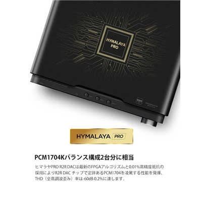 HIFIMAN ヘッドホンアンプ GoldenWave SERENADE [ DAC機能対応