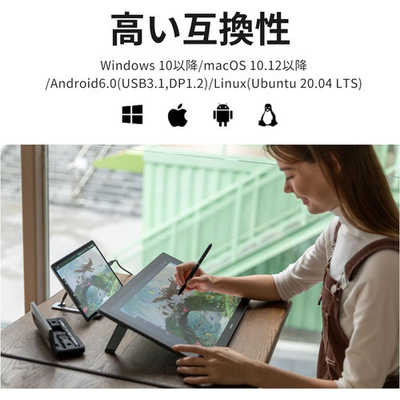 HUION 液晶ペンタブレット ［18.4型］ USB-C接続 Kamvas Pro 19