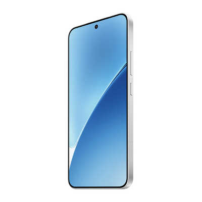 Xiaomi 15 Green 12GB+256GB Xiaomi グリーン [SIMフリー