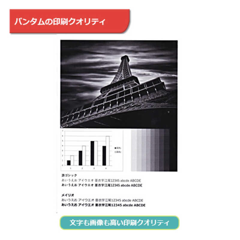 PANTUM PANTUM モノクロレーザープリンター ホワイト [はがき～A4] P3300DW P3300DW