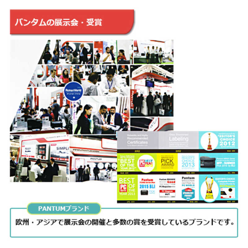 PANTUM PANTUM モノクロレーザープリンター ホワイト [はがき～A4] P3300DW P3300DW