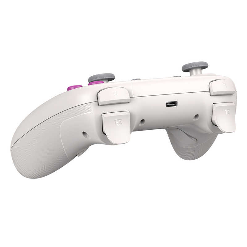 GAMESIR GAMESIR ホールエフェクトセンサー搭載コントローラー WindowsPC/Switch/Android/iOS対応 GameSir Nova Retro White GameSir Nova Retro White