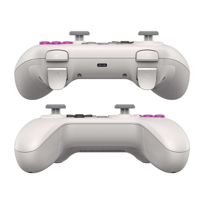 GAMESIR GAMESIR ホールエフェクトセンサー搭載コントローラー WindowsPC/Switch/Android/iOS対応 GameSir Nova Retro White GameSir Nova Retro White