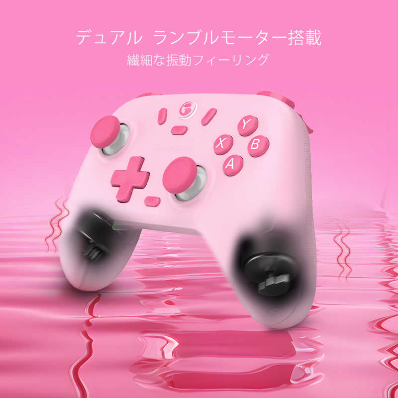GAMESIR GAMESIR ホールエフェクトセンサー搭載コントローラー WindowsPC/Switch/Android/iOS対応 GameSirNovaLiteAshGray GameSirNovaLiteAshGray