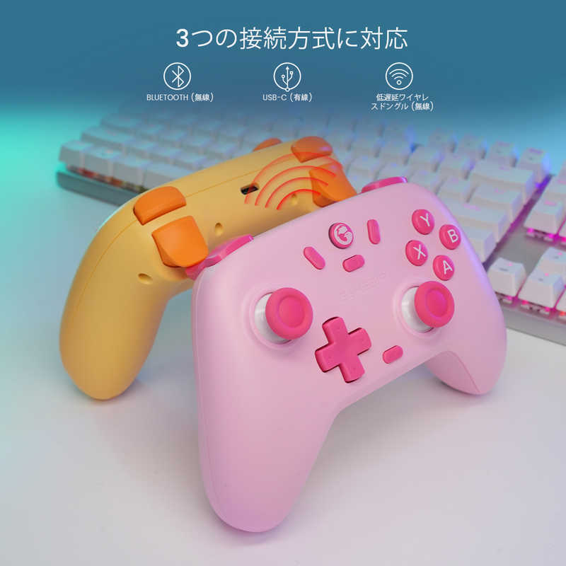 GAMESIR GAMESIR ホールエフェクトセンサー搭載コントローラー WindowsPC/Switch/Android/iOS対応 GameSirNovaLiteAshGray GameSirNovaLiteAshGray