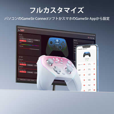 1円 SONY SCPH-30000 PS2 Nintendo Wii BANDAI じゃりン子チエ