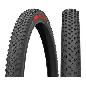 CHAOYANG タイヤ PHANTOM WET 29×2.20 ブラック H-5235TR
