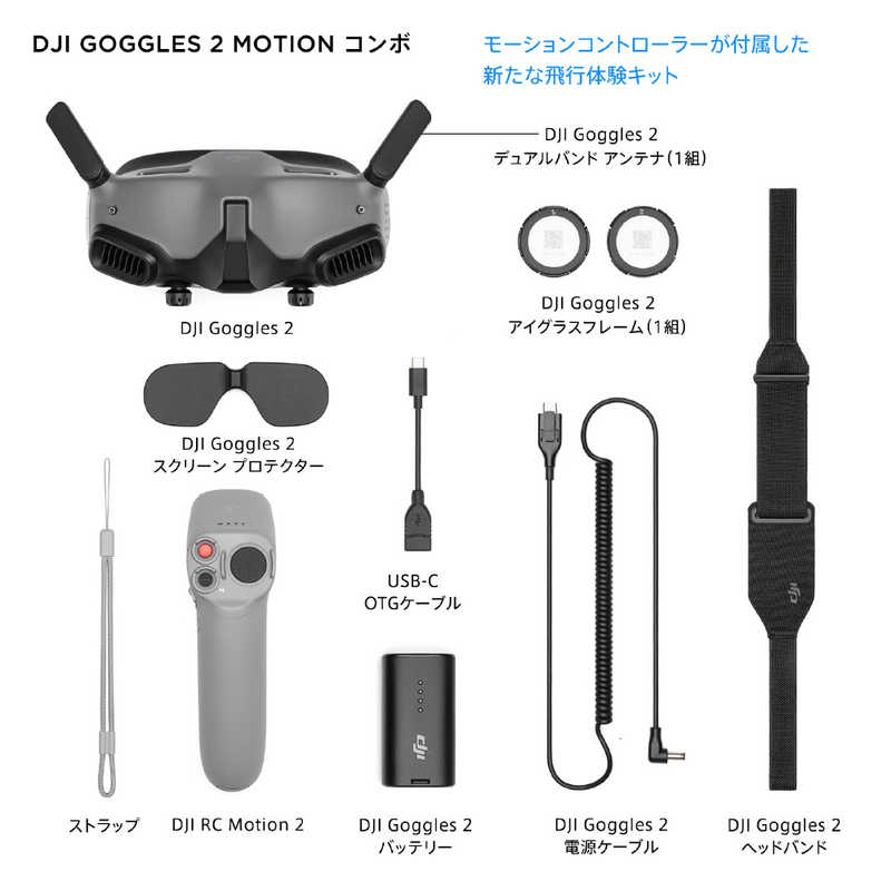 DJI DJI DJI Goggles 2 Motion Combo (DJI RC Motion 2) GGS016 GGS016