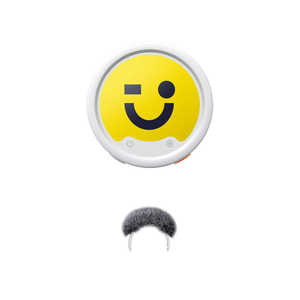 INSTA360 Mic Pro �g�����X�~�b�^�[ (�A�[�N�e�B�b�N�z���C�g) �A�[�N�e�B�b�N�z���C�g MC110-MICPRO04