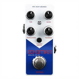 XVIVE V21 ECHOMAN ANALOG DELAY XV-V21