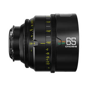 DZOFILM Gnosis Macro プライムレンズ 65mm T2.8(LPL＆PL＆EFマウント/フィート表記/ハードケース付き) DZO-G6528LPLI