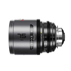 DZOFILM Pavo2x アナモルフィックプライム 75mm T2.1(ニュートラルコーティング/PL&EFマウント/メートル表記) DZO-PA7521PLMN DZOFILM Pavo2x アナモルフィックプライム 75mm T2.1(ニュートラルコーティング/PL&EFマウント/メートル表記) DZO-PA7521PLMN