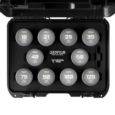 DZOFILM DZO-CaseV4 Vespid レンズ ハードケース4個収納 - novius-it.hu