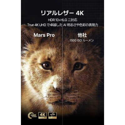 DANGBEI プロジェクター Dangbei Mars Pro Black DBX3PRO の通販