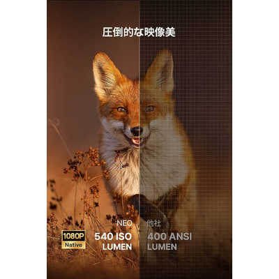 DANGBEI プロジェクター Dangbei Neo White DBOD01/WH の通販