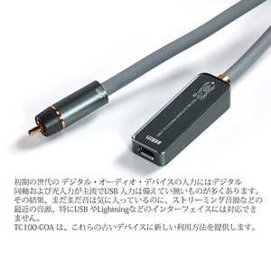 DDHIFI オーディオケーブル USB Type C to USBC to Coaxial(同軸)コンバーター TC100COA TC100-COA