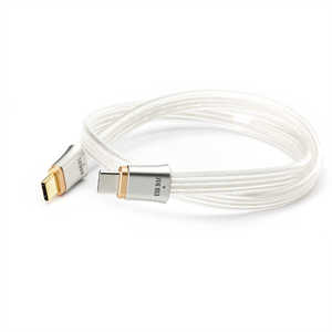 DDHIFI dd HiFi TC19CC 45cm OTG֥ USB-C To USB-C ǥ졼USB֥ TC19CC45cm