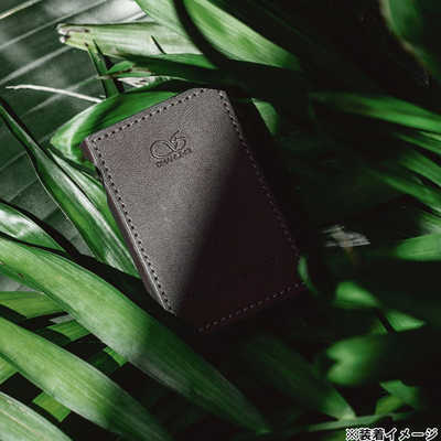 SHANLING M1Plus ,専用ケース付 Shanling M1 Plus 専用ケース Black（ブラック）｜新品通販