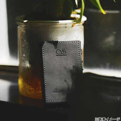 SHANLING M1Plus ,専用ケース付 Shanling M1 Plus 専用ケース Black（ブラック）｜新品通販