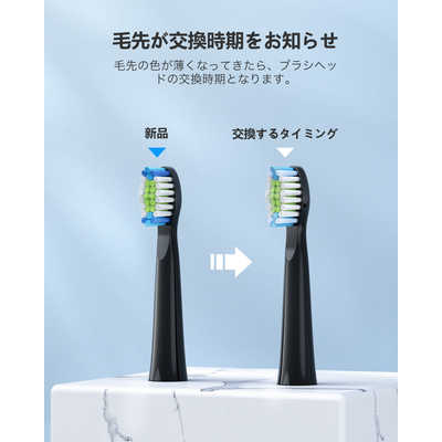 Fairywill E11 電動歯ブラシ 本体 FAIRYWILL 電動歯ブラシ [振動式 /AC100V-240V] E11 の通販