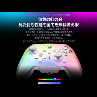 BIGBIGWON ゲームコントローラー Windows PC /Switch /Switch2 /iOS