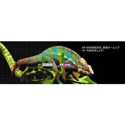 VIVIDSTORM 高輝度レーザー専用 超短焦点/長焦点 プロジェクター