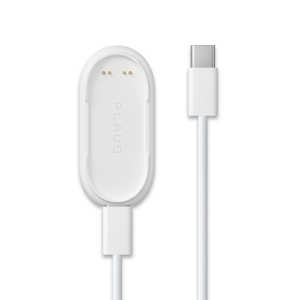 PLAUD NotePin ���ť��å� NP-AC-CD