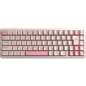 AULA �Q�[�~���O�L�[�{�[�h F65 F65J-SV-PK