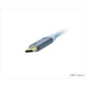 SUPRA オーディオUSB3.2ケーブル Type C-Cタイプ 0.5m USB3.2C-C/0.5M
