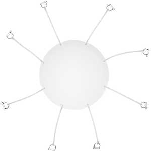 PROFOTO Profoto �r���[�e�B�[�f�B�b�V���p�f�B�t���N�^�[�v���[�g 201706