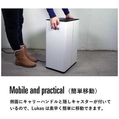 【使用少 美品】Stadler Form Lukas 空気清浄除湿機 19畳 Lukas — WEBO ONLINE STORE