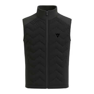 ダイネーゼ メンズ スキー ミドルレイヤー GLACIUM GILET M サイズ STRETCH-LIMO 49400032