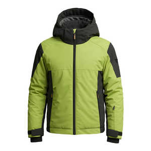ダイネーゼ メンズ スキージャケット AETHERIS JACKET WILD LIME/STRETCH LIMO L サイズ 47400087