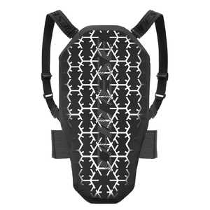ダイネーゼ メンズ スキープロテクター FLEXAGON BACK PROTECTOR 2 L サイズ STRETCH-LIMO/WHITE 48700004