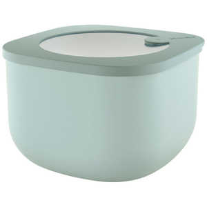 Ob`[j 1550CC GA^CgWRei[2P STORE & MORE O[ 170703176