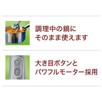 ブラウン BRAUN ハンドブレンダー マルチクイック5 MQ500GY の