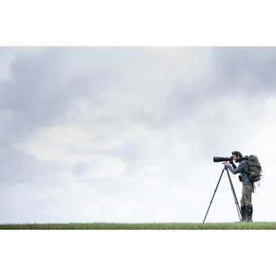 Gitzo ジッツオ GH4383LR　センターボール雲台4型LR ジッツォ センターボール雲台4型LR グレー GH4383LR の通販 - カテゴリ