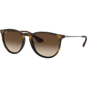 レイバン Ray-Ban サングラス ERIKA RB4171F 865/13 54mm トータス/ブラウングラディエント RB4171F