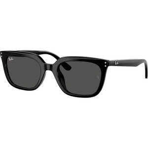 レイバン サングラス (Low Bridge Fit) RB4439D 901/87 54mm ブラック/ダークグレー レイバン サングラス (Low Bridge Fit) RB4439D 901/87 54mm ブラック/ダークグレー