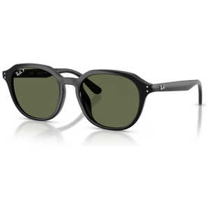 レイバン RB4459D 901/9A 54mm ポリッシュブラック/ダークグリーン偏光 レイバン RB4459D 901/9A 54mm ポリッシュブラック/ダークグリーン偏光