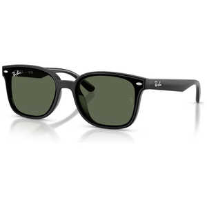 Ray-Ban ORB4461D ブラックサングラス レイバン レイバン Ray-Ban サングラス RB4461D (サングラス) 価格比較 - 価格.com
