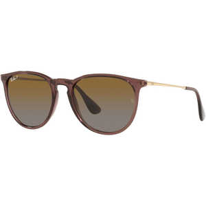 レイバン Ray-Ban サングラス ERIKA RB4171 6593T5 54mm トランスペアレントDBR/ブラウングラディエント偏光 RB4171_6593T554