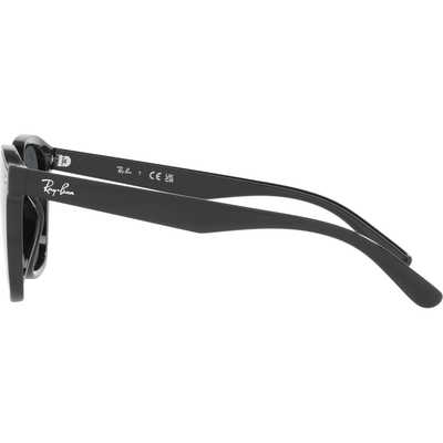 レイバン Ray-Ban サングラス RB4392D 601/87 66mm ブラック