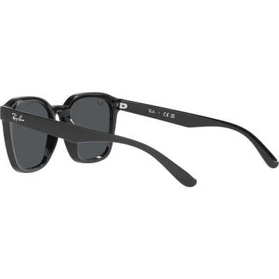 RayBan サングラスRB4392D レイバン　ブラック レイバン サングラス Ray-Ban RB4392D 60187(50mm ブラック