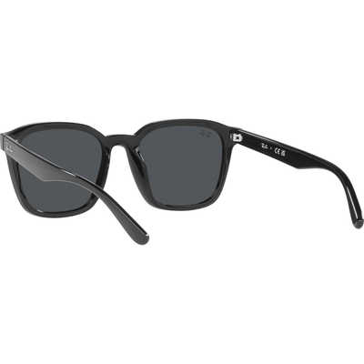 Ray-Ban ブラック サングラス ケース付き　ORB4392D レイバン公式ストア】 Ray-Ban® RB4392D サングラス | ブラック