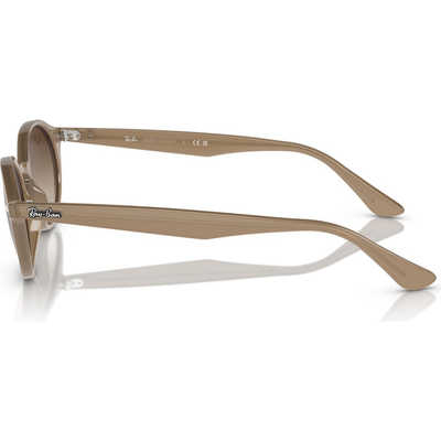 レイバン RayBan サングラス 51mm タートルダヴ/ブラウン 0RB4315