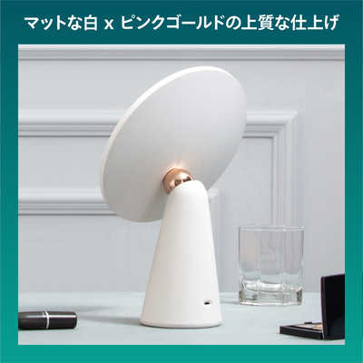 フィリップス PHILIPS LEDミラーライト DSK205 の通販